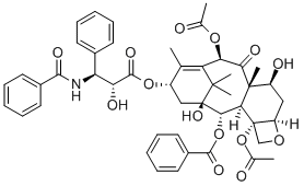 33069-62-4     紫杉醇   Paclitaxel 