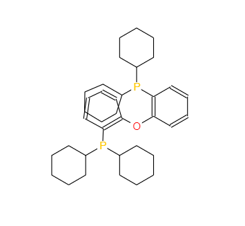 CAS：434336-16-0，雙(二環(huán)己基膦基苯基)醚 