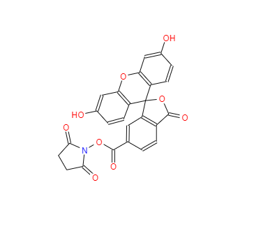 CAS：92557-81-8，6-羧基熒光素琥珀酰亞胺酯 
