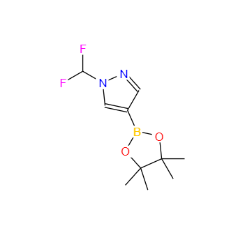 CAS：1206640-82-5，1-(二氟甲基)-4-(4,4,5,5-四甲基-1,3,2-二氧硼雜環(huán)戊烷-2-基)-1H-吡唑 