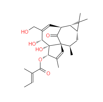 CAS：75567-37-2，巨大戟醇-3-O-當(dāng)歸酸酯(巨大戟醇甲基丁烯酸酯)