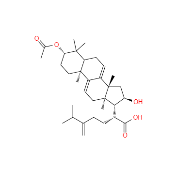 CAS：77012-31-8，去氫茯苓酸 