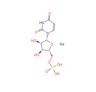 CAS：3387-36-8，尿苷酸二鈉 